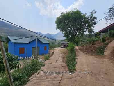 Chính chủ bán 1ha đất tặng nhà sàn giá tốt trung tâm Mộc Châu, Sơn La