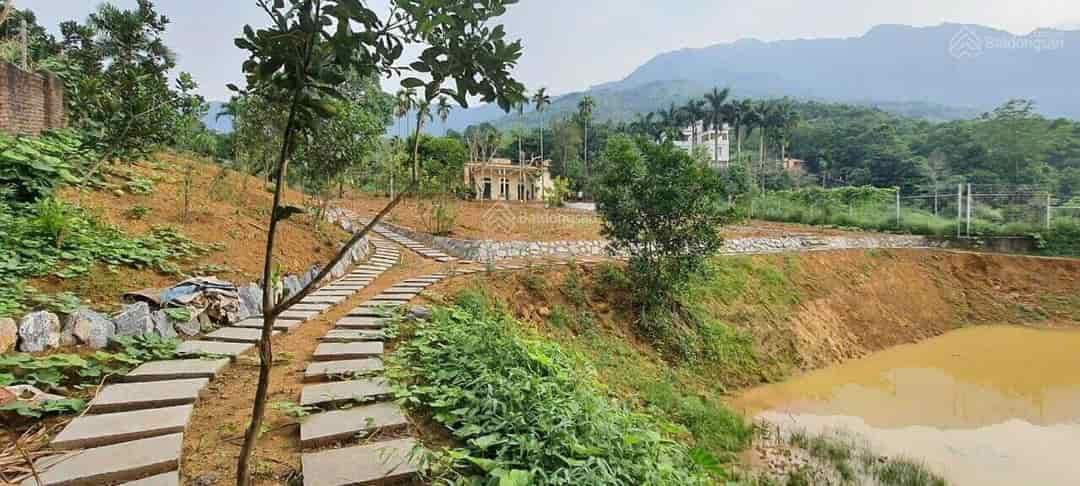 Bán 3700m2 đất sổ riêng giá tốt nhất khu vực Yên Bình, Thạch Thất