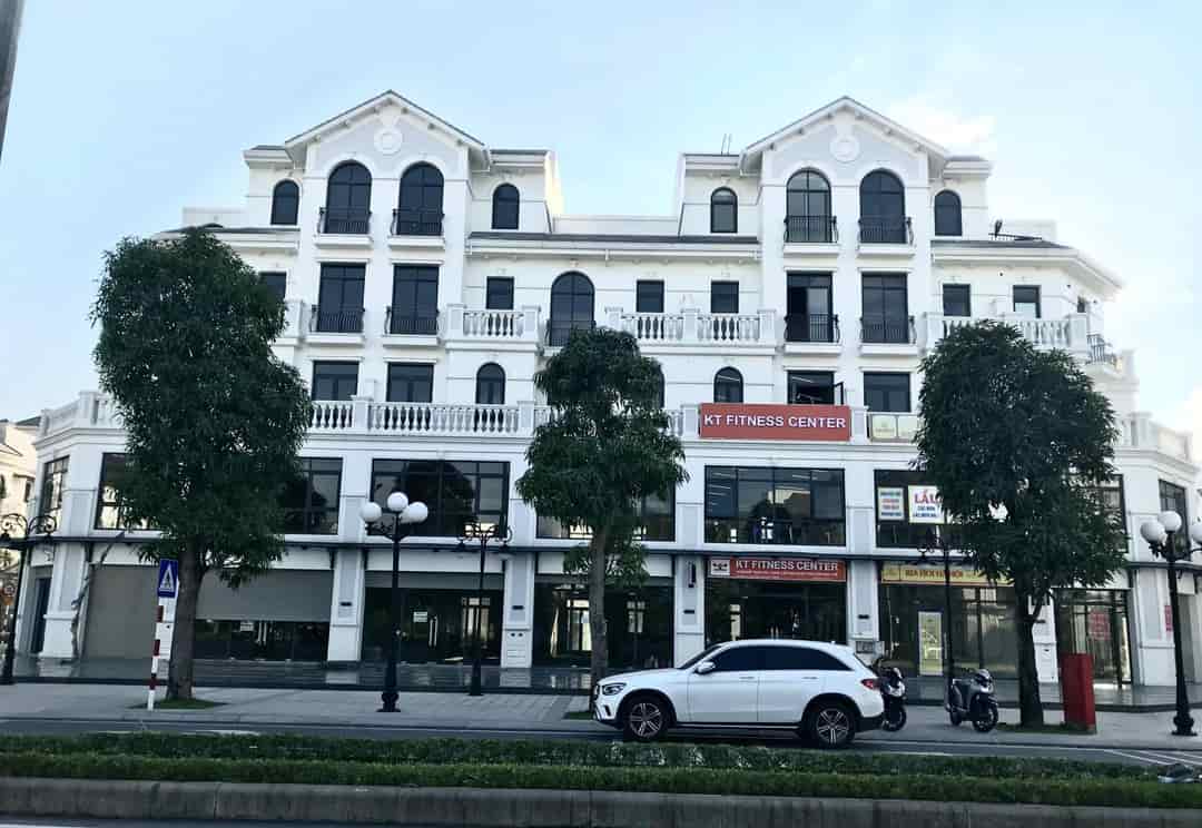 Chính chủ bán cắt lỗ shophouse TMDV Sao Biển 1 Vinhomes Ocean Park 1, mặt đường 30m