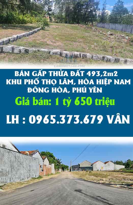 Bán gấp thửa đất 493,2m2 khu phố Thọ Lâm, Hòa Hiệp Nam, Đông Hòa, Phú Yên.