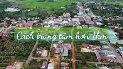 Bán vườn vải thiều xã Tam Giang, Huyện Krông Năng, tỉnh DakLak