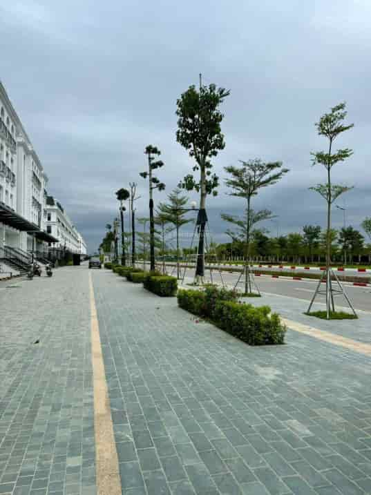 Bán đất DV Vân Canh 4.5ha, lô góc, DT 210m, MT 15m đầu tư, KD VP