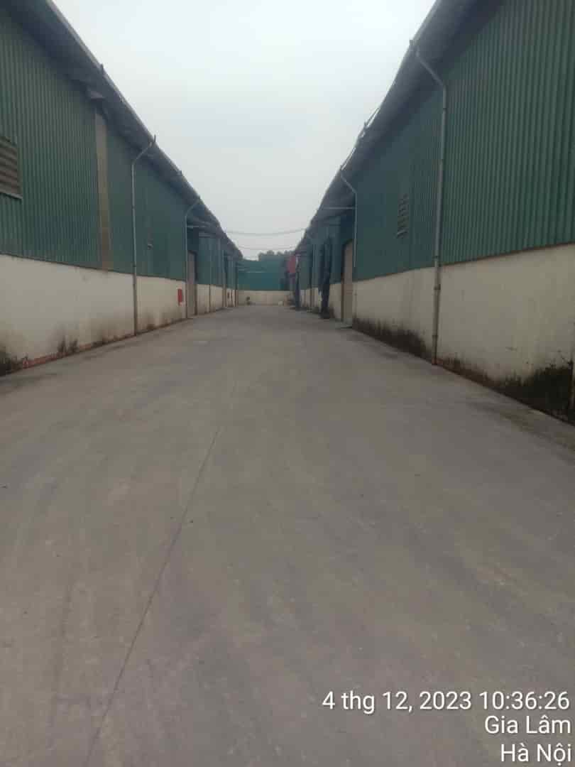 Cho thuê kho tại Gia Cốc, Kiêu Kỵ, Gia Lâm, Hà Nội, diện tích 370m xe container đỗ cửa bảo vệ vòng ngoài