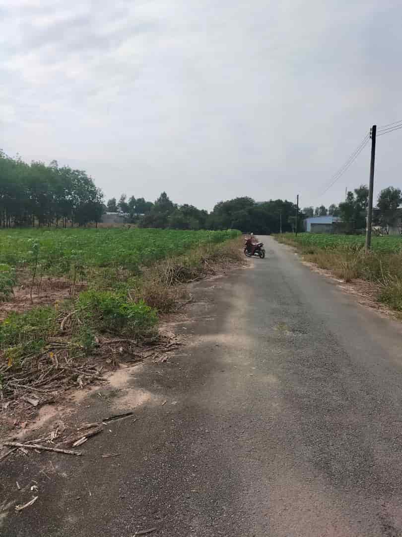 Cần bán đất xã Bình Khánh, huyện Cần Giờ, Tp.HCM