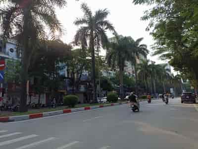 Bán nhà mặt phố Nguyễn Khuyến, KĐT Văn Quán, Hà Đông 110m2, MT 6m, giá 22 tỷ