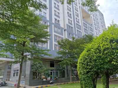 Chính chủ bán căn hộ chung cư Dream Home Gò Vấp, 70m2, tầng 5 thoáng mát, giá chỉ 2 tỷ