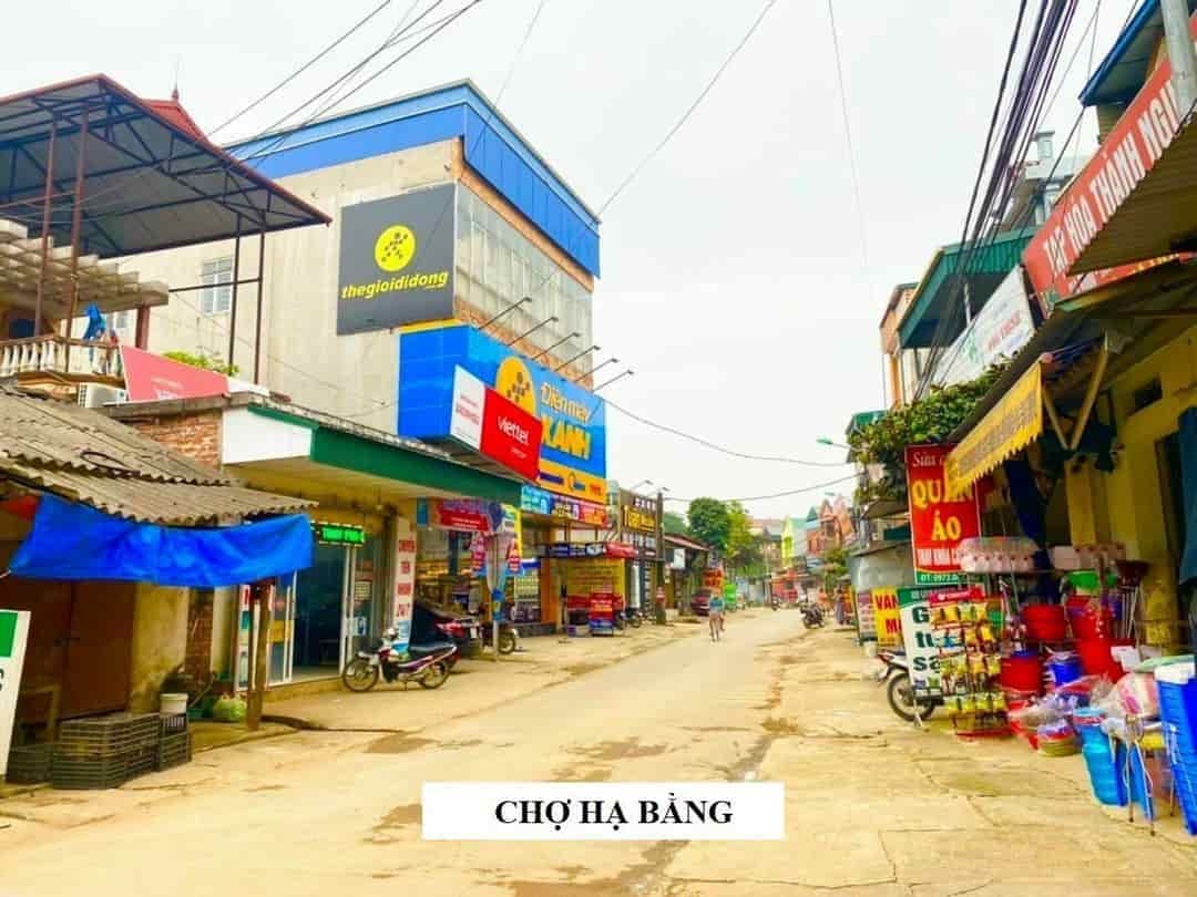 Chả có khu nào đẹp và tiện hơn khu này tại Hòa Lạc nữa