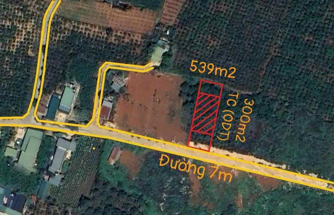 Bán lô đất nghỉ dưỡng hơn 500m2, sẵn thổ cư 300m2 giáp đường DT 725, Lâm Đồng