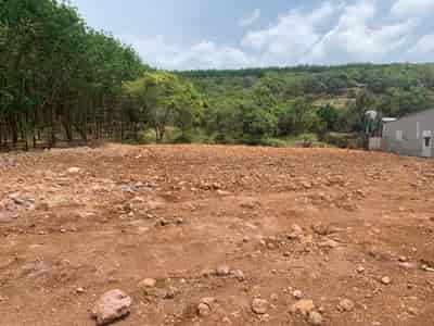 Bán đất nền ql14, 5530m2, mặt tiền 37m, ngay trung tâm xã Thọ Sơn, tặng kèm 50 cây điều trên đất