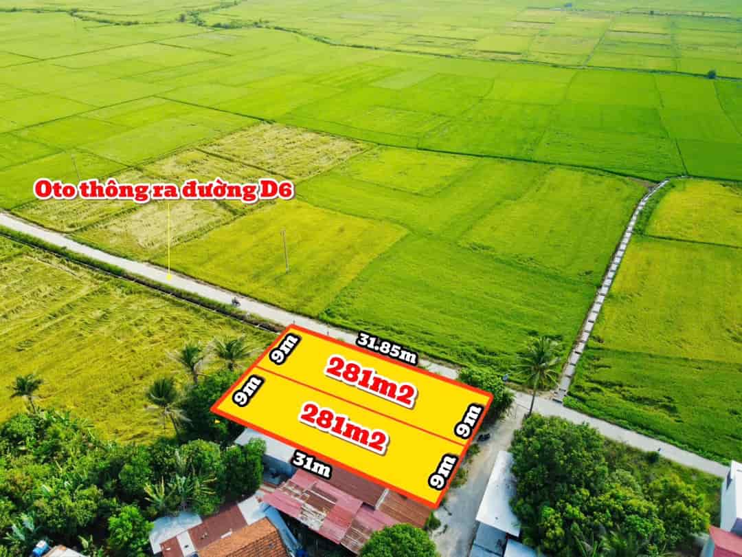 Bán lúa cực đẹp tại Diên Lạc , ngay trung tâm hành chính Diên Khánh.