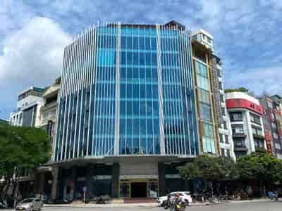 Cho thuê tòa văn phòng vip 11 tầng mp Trần Thái Tông, dt 315m2, lô góc, giá 800tr/th