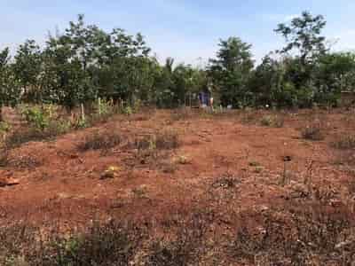 Chính chủ cần bán lô đất xã Cư Suê, huyện Cư M’gar, tỉnh Đăk Lăk