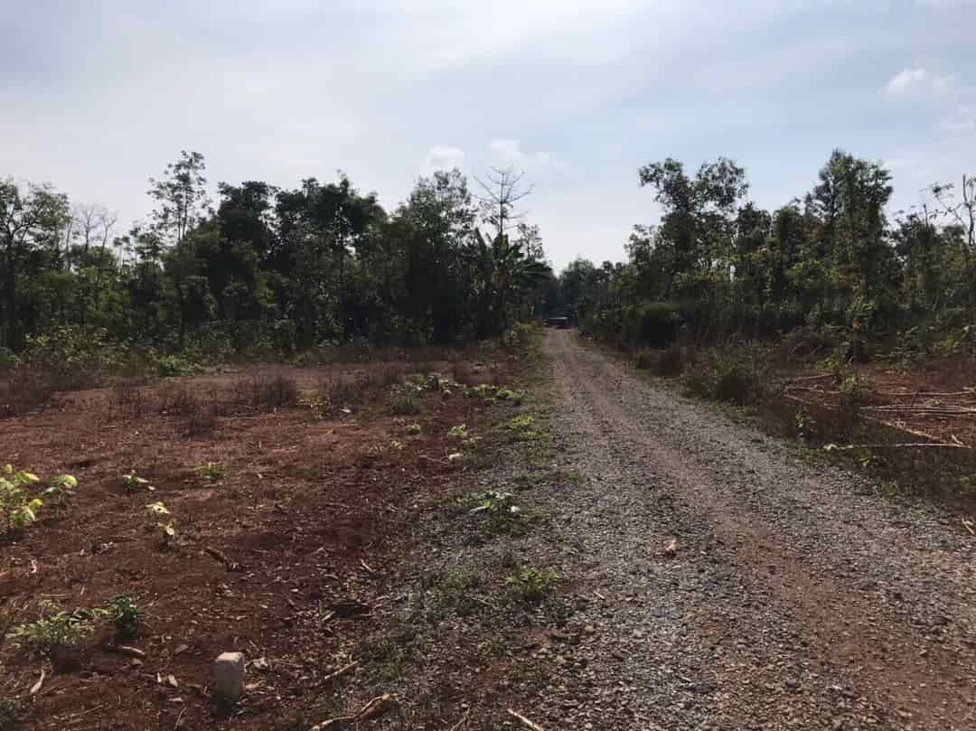 Chính chủ cần bán lô đất xã Cư Suê, huyện Cư M’gar, tỉnh Đăk Lăk
