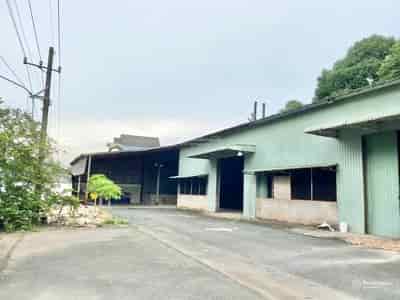 Bán nhà máy, xưởng, kho tại KCN Tân Phú Trung, Củ Chi 2.5 hecta