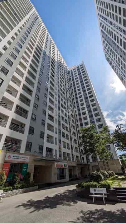 Cho Thuê Căn hộ mới 2PN, 2WC - Chung cư Iris Tower - Đường Nguyễn Du, Phường Bình Hòa, TP.Thuận An, Bình Dương