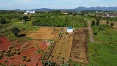 Bán đất thổ cư shr rẻ nhất thị trường trên Bảo Lộc Lâm Đồng, 
5x20m, 100m2 chỉ 400tr