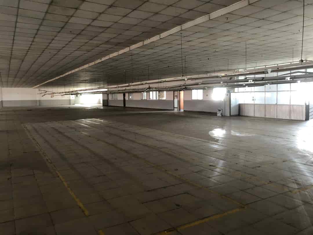 Nhà xưởng cho thuê 5800m2 gần TT Hóc Môn