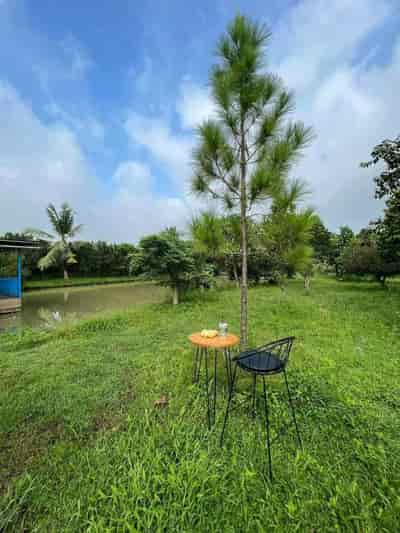 Bán nhà vườn mặt tiền Long Chiến, Bình Lợi, Vĩnh Cửu, 5600m2, giá 15 tỷ.