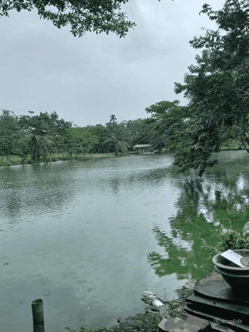 Bán nhà vườn mặt tiền đường nhựa, Sông Trầu, Trảng Bom, 10000m2, giá 8 tỷ 500.