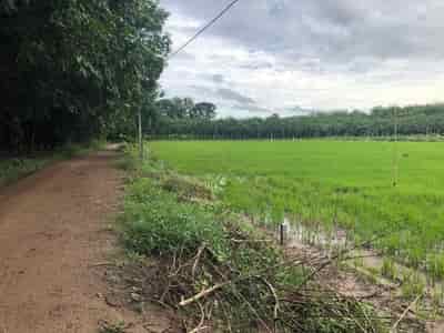 Chính chủ cần bán lô đất nông nghiệp ở xã Tân Phú, Huyện Tân Châu, Tây Ninh.