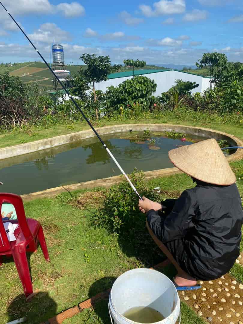 Chính chủ cần bán đất vườn tặng nhà ở thôn 8, Đam Bri, Tp Bảo Lộc, Lâm Đồng