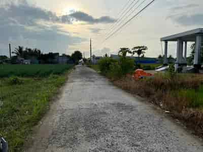 Bán 10x45m đất thổ vườn đường ô tô tại Tân Điền, Gò Công Đông, Tiền Giang