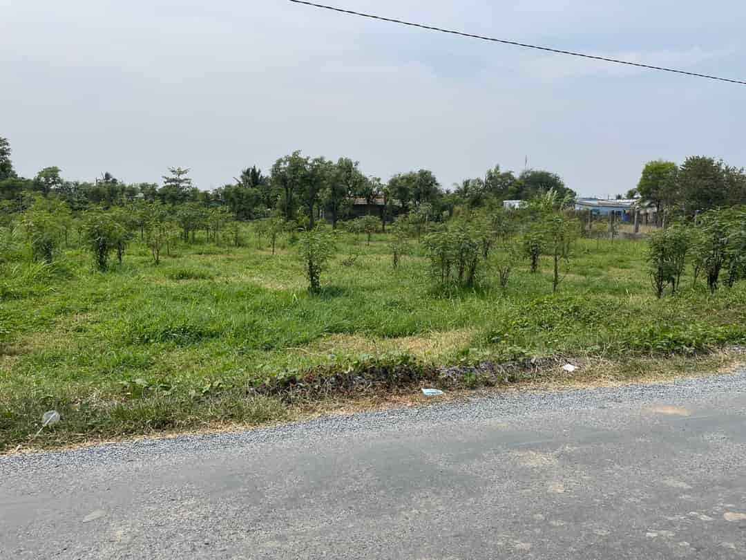 Bán 1,2 công đất mặt tiền HL05B Bình Nghị, Gò Công Đông, Tiền Giang