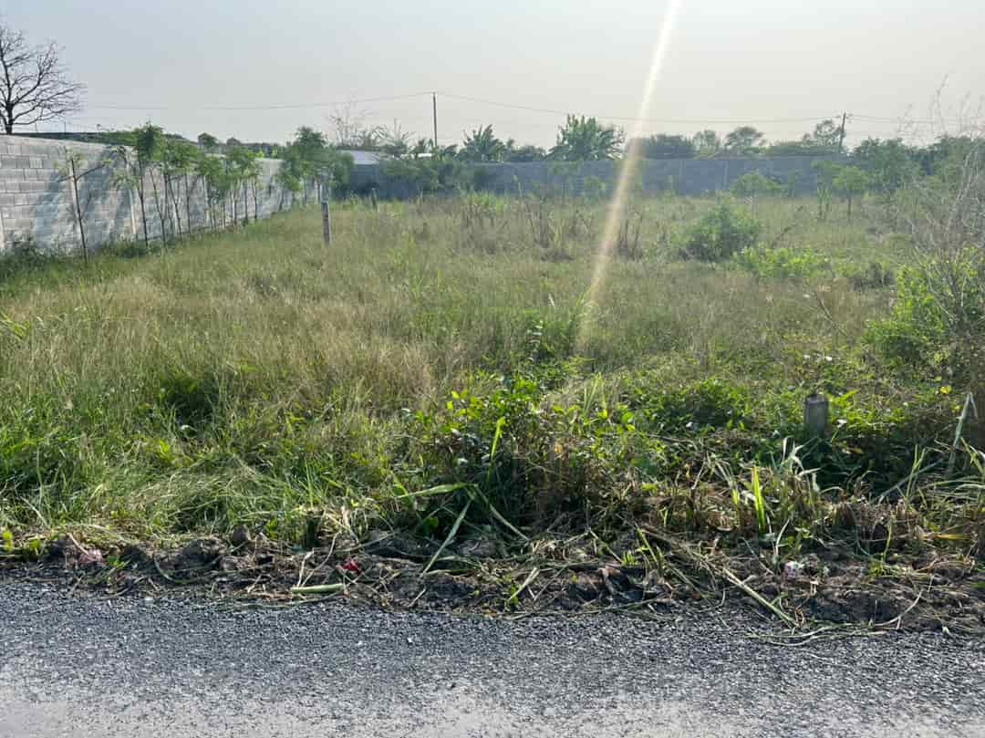 Bán 192m2 đất thổ vườn, ô tô tại thị xã, Gò Công, Tiền Giang giá 900tr