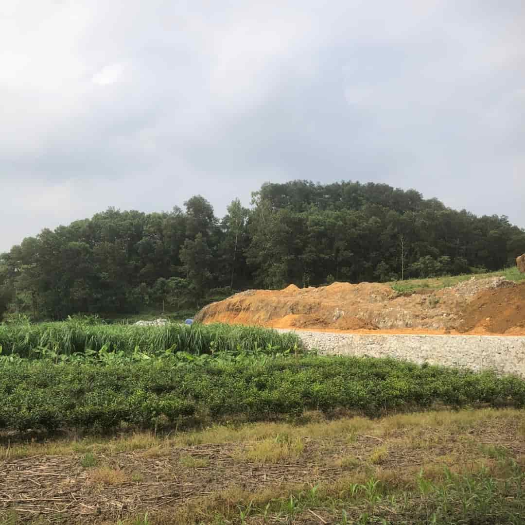 Bán đất xây nhà vườn nhà sinh thái Yên Bình, Thạch Thất ô tô ngõ thông rộng giá rẻ
