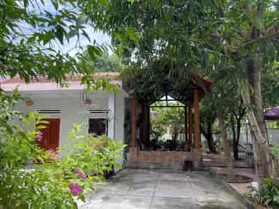 Bán căn villa sân vườn Liên Chiểu, Đà Nẵng, phong cách Bắc Bộ, diện tích 372m2 chỉ 8,5 tỷ.