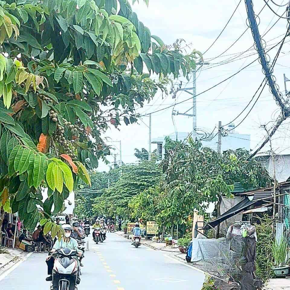 Bán đất mt ngang 7m, 150m2, đường Nguyễn Thị Sáu, Hóc Môn