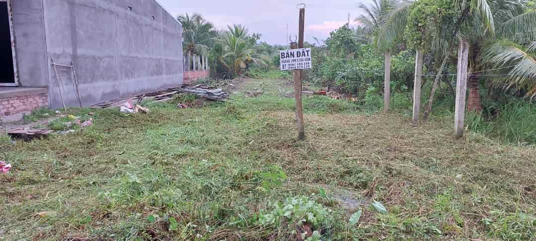 Chính chủ cần bán đất tại thị xã Lai Cậy, Tỉnh Tiền Giang