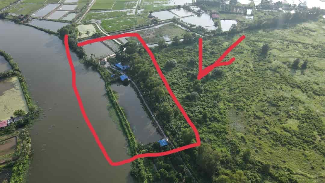 Chính chủ bán 10.588.0m2 vườn ao tại thôn Thấp Linh, Xã Minh Tân, Huyện Kiến Thụy, Tỉnh Hải Phòng