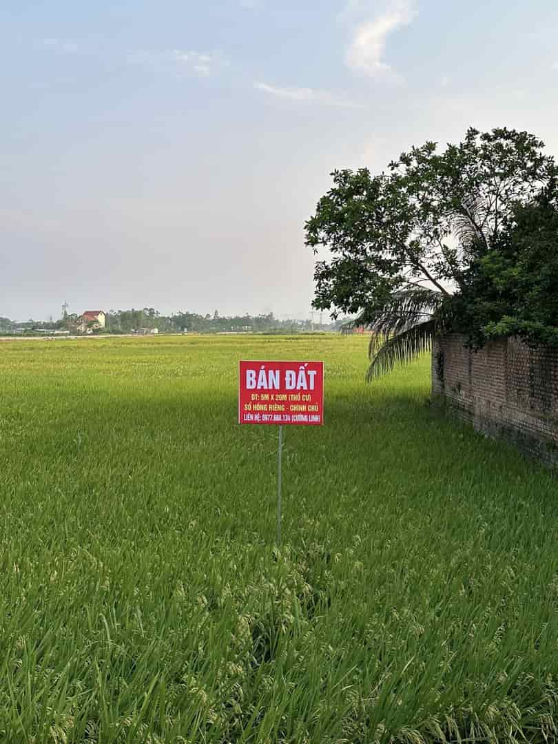 Chính chủ bán lô đất tại thôn Hoàng Thượng, Kim Xá, Vĩnh Tường, Vĩnh Phúc.
