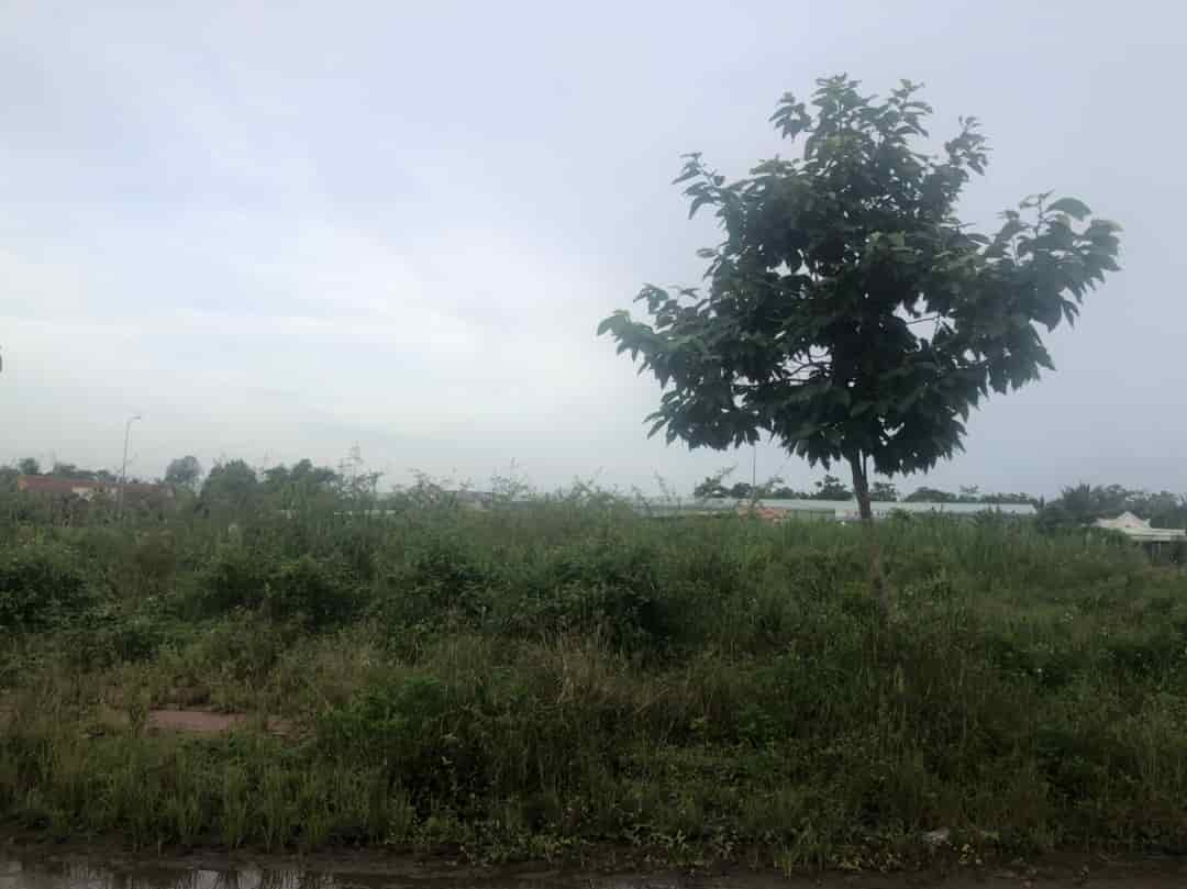 Chính chủ cần bán lô đất tại  Phú An, Quận Cái Răng, TP. Cần Thơ