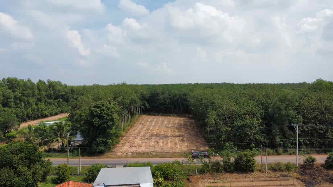 Cần bán lô đất ở Long Tân, Dầu Tiếng giá chỉ 490tr