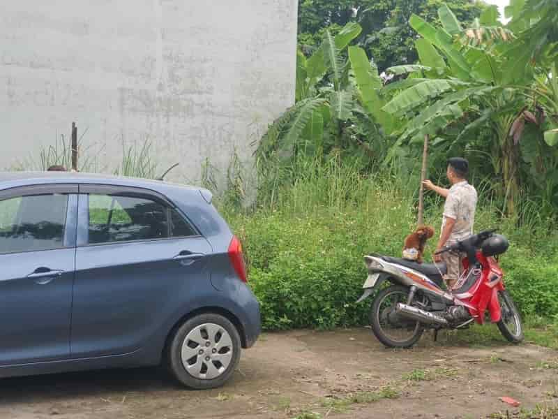 Chính chủ bán đất 2 tỷ 1 ở Độc Lập, Cự Khối, Long Biên, ngõ thông ô tô vào tận nơi 42m