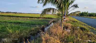 Bán lô đất lúa chuyển thổ mặt tiền đường Nguyễn Hoàng Anh giá 4,4 tỷ