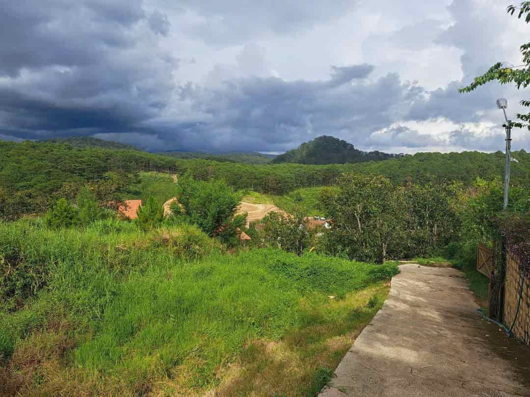 Bán lô đất view rừng thông tại Xuân Thọ, Đà Lạt, 970m2