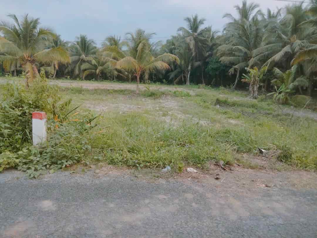 Bán đất đẹp tại xã Thông Hòa, huyện Cầu Kè, Trà Vinh