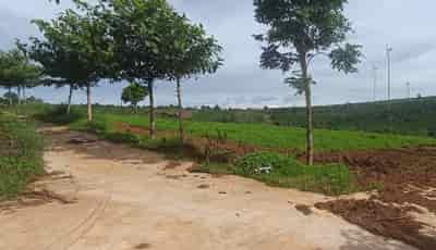 Bán đất vườn Chư PRong Gia lai 1000m giá 260tr sổ hồng riêng
