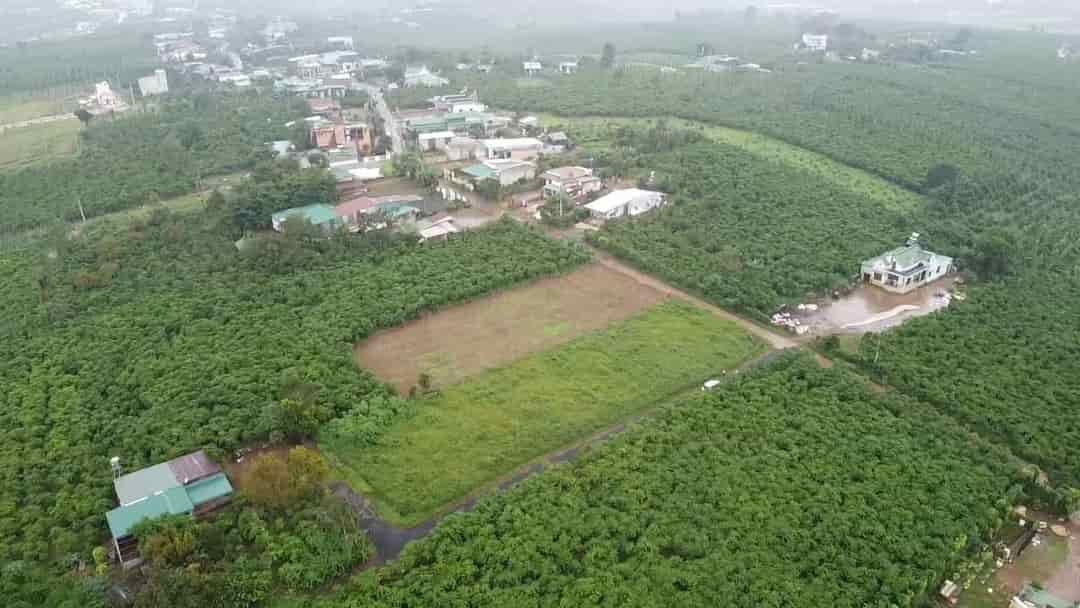 Bán đất huyện Bảo Lâm Lâm Đồng giá 439tr