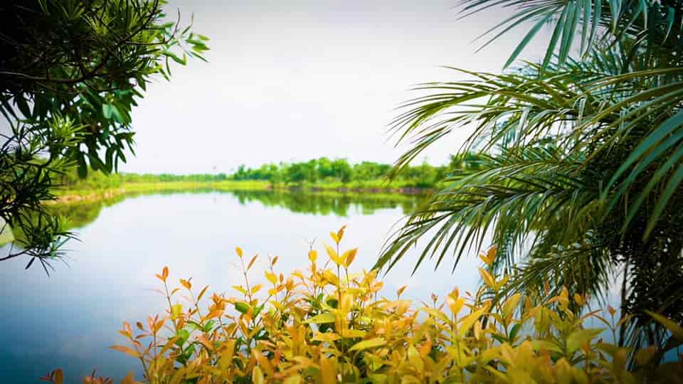 Lô đất view Hồ Điều Hòa khu Vườn Hồng, dự án Từ Sơn Garden City