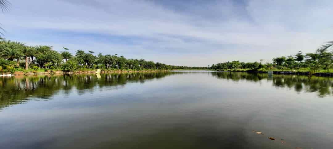 Bán rẻ 2 lô đất biệt thự khu vườn hồng view hồ điều hòa lớn nhất Từ Sơn
