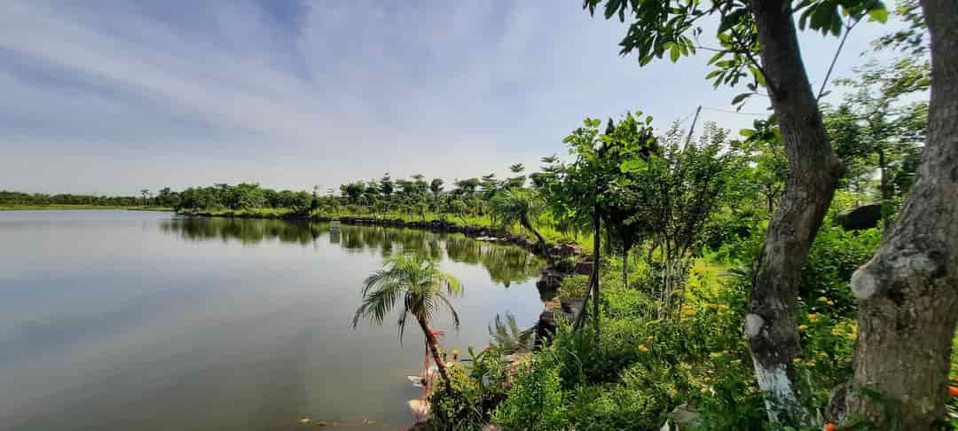 Bán rẻ 2 lô đất biệt thự song lập khu Vườn Hồng, view hồ điều hòa lớn nhất Từ Sơn