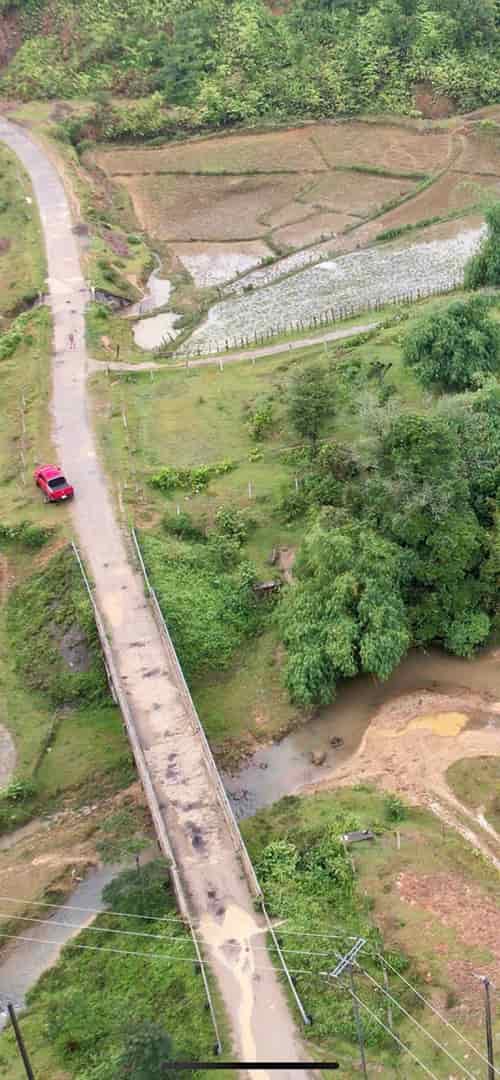 Cắt lỗ lô đất diện tích lớn tại Măng Đen, Kon Tum