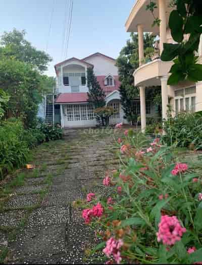 Cho thuê căn hộ trong khuôn viên vườn Bình Quới, Bình Thạnh, Tp Hồ Chí Minh