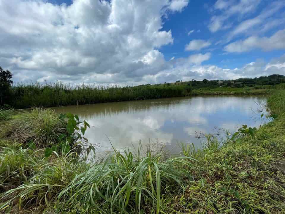 Bán đất view hồ Dầu Tiếng 3200m2, sẵn nhà, hồ