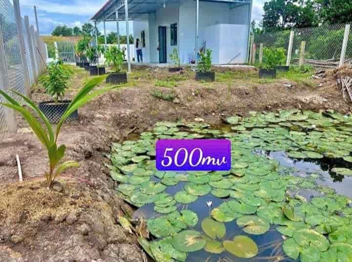 Nhà + vườn + ao , 500m2 550tr bao sang tên công chứng, sổ hồng