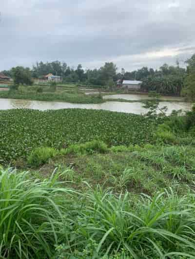 Bán đất vườn 915m2, có 300m thổ cư, view sông Tịnh Hoà, Tp.Quảng Ngãi chỉ 1 triệu/m2